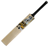 HS 41 Pro Edition Cricket Bat