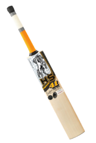 HS 41 Cricket Bat