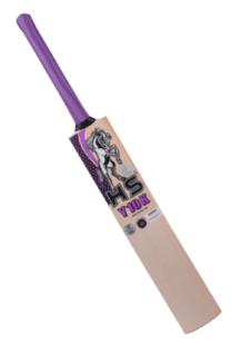 HS Y10K Cricket Bat