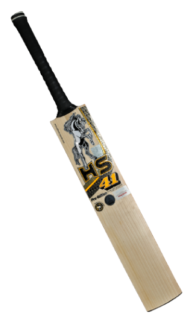 HS 41 Pro Edition Cricket Bat