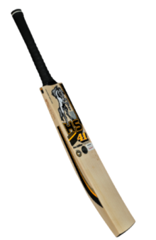 HS 41 Pro Edition Cricket Bat