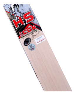 HS Icon Marlon Samules Bat