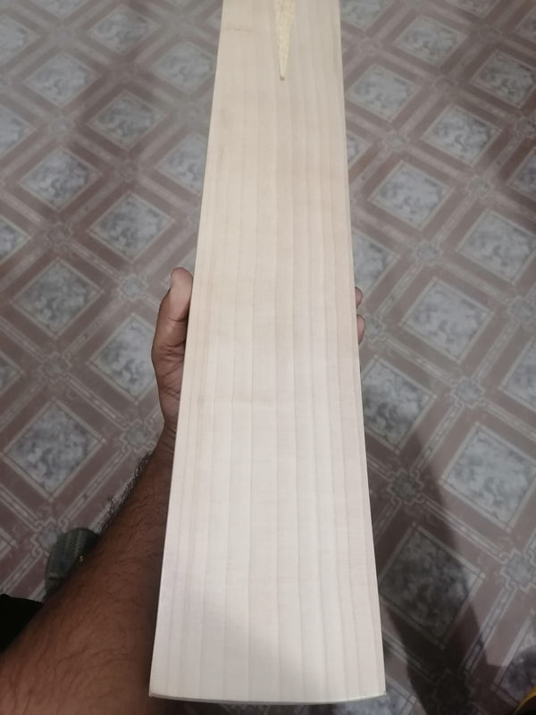 Custom Plain Bat